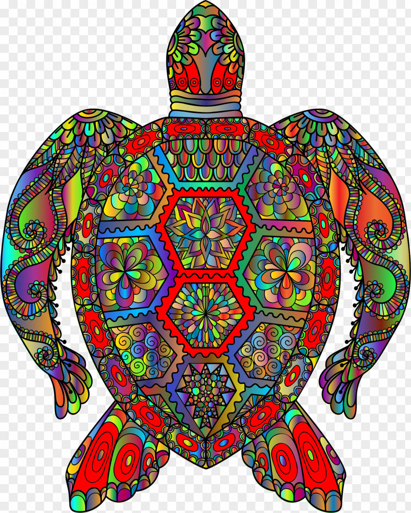 Turtle Sea Art Clip PNG