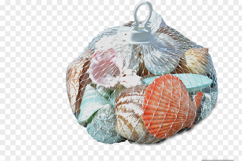 White Seashell Plastic Mesh Net Hanger Bag PNG