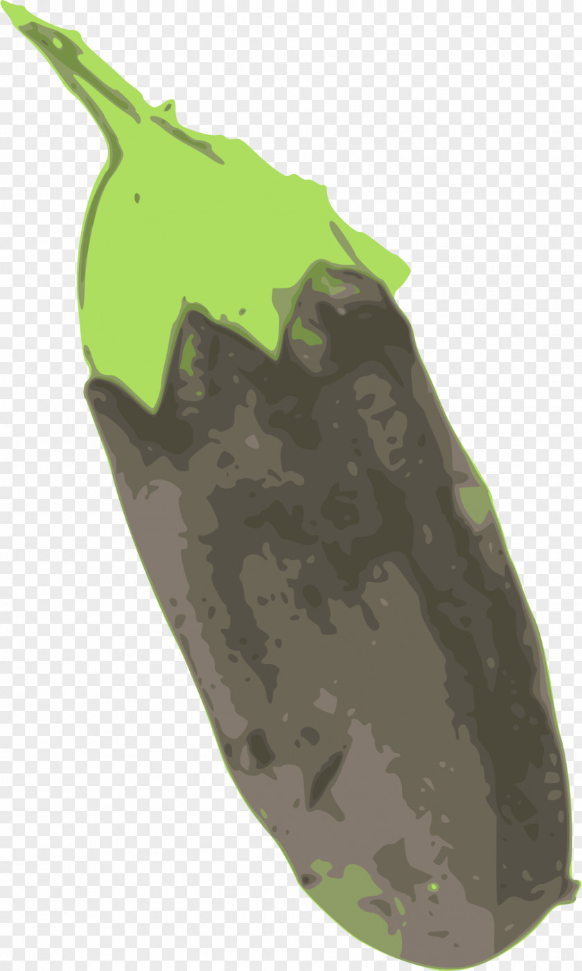 Eggplant Vegetarian Cuisine Clip Art PNG