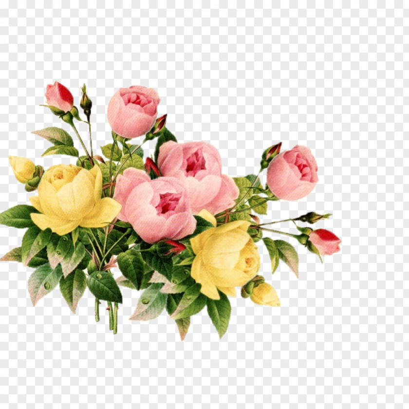 Flower Floral Design Bouquet Clip Art PNG