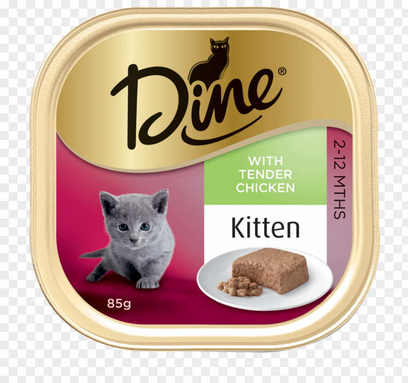 Kitten Cat Food Fish PNG