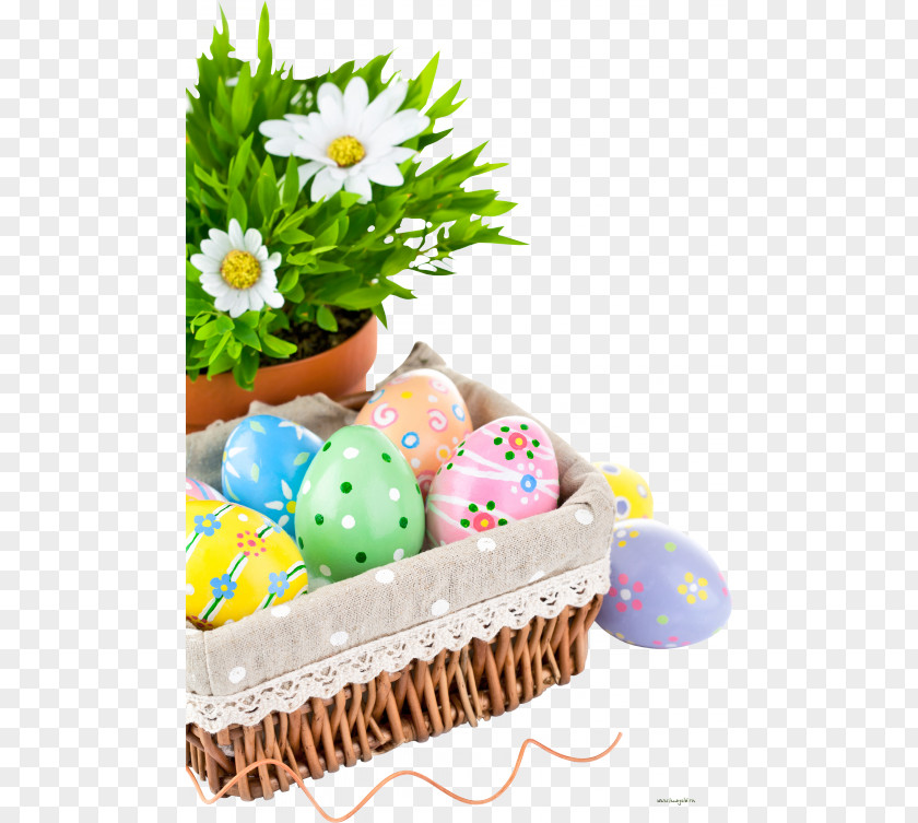 Potted Eggs Easter Bunny Greeting Card Wedding Invitation Egg PNG