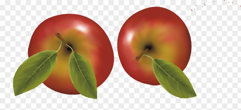 Two Apples Fruit Apple Fuji Food PNG
