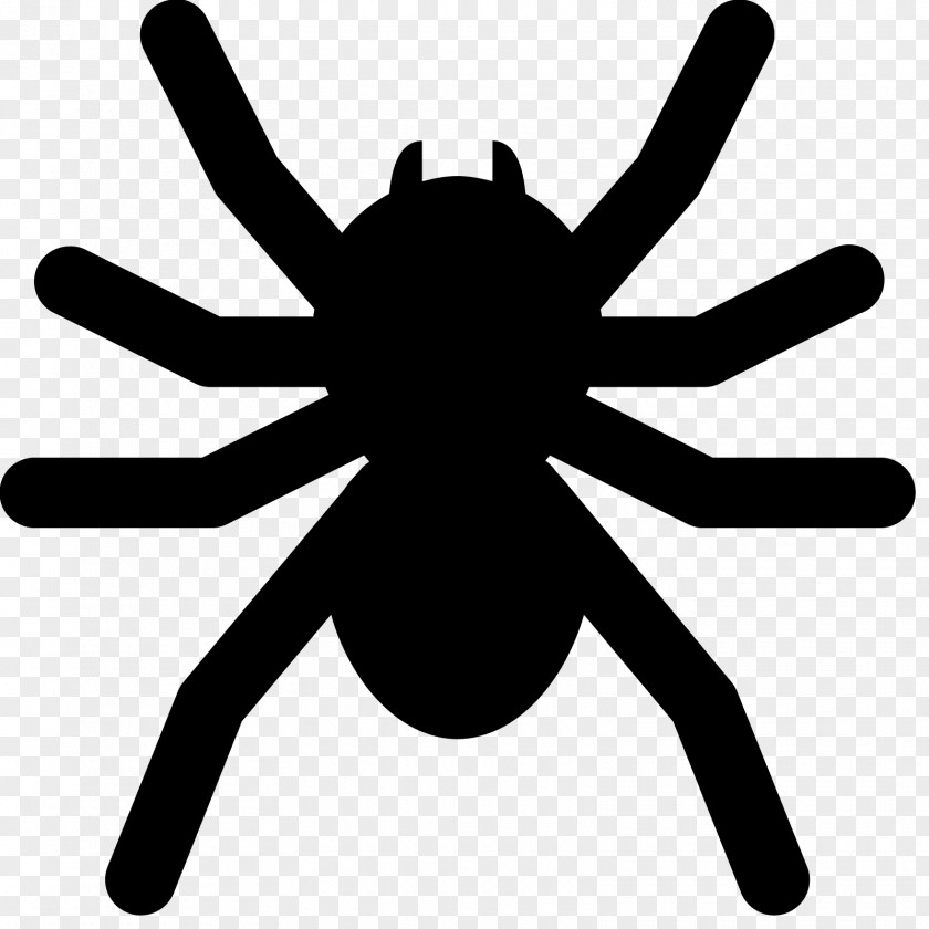 Australia Spider Icon Design Download Clip Art PNG