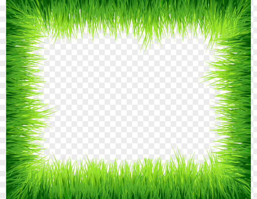 Green Border Frame Photos Grass Euclidean Vector Clip Art PNG