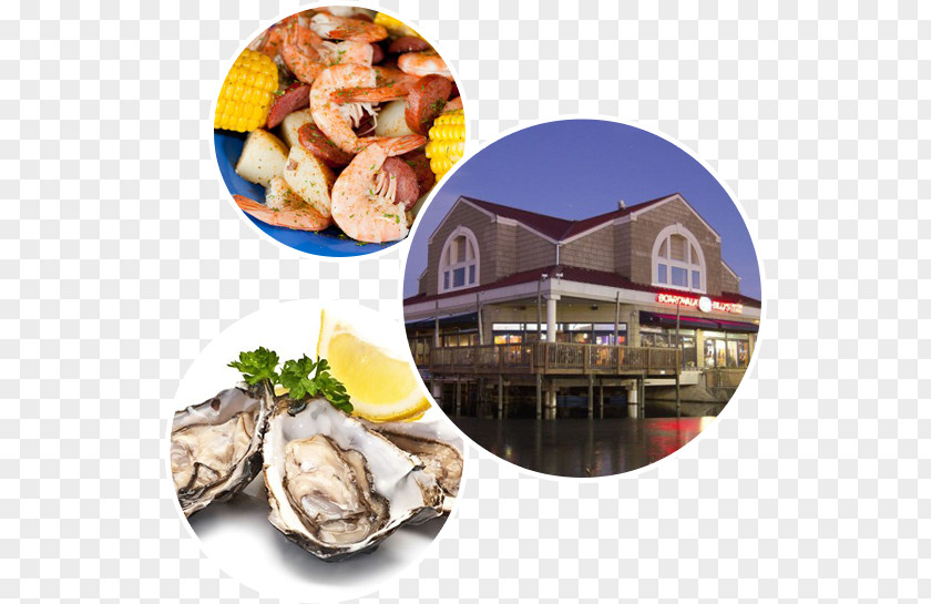 Knife Clam Oyster Dish Oestermes PNG