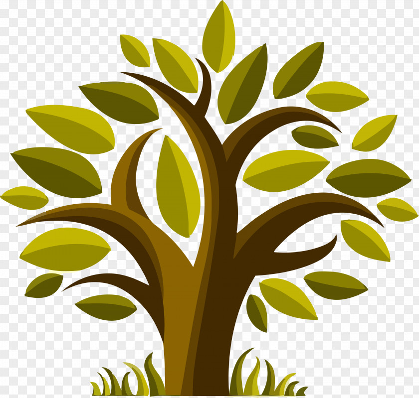 Leaf Green Tree Plant Stem PNG