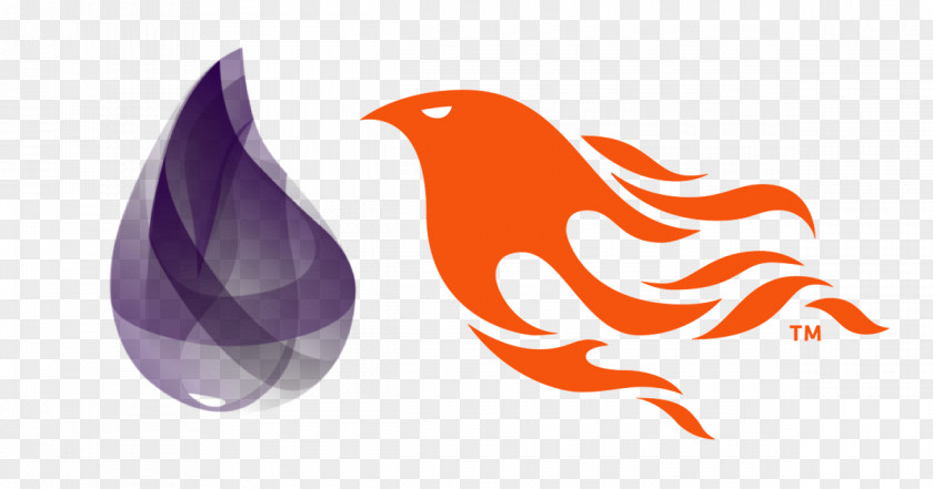 Phoenix The Little Elixir & OTP Guidebook Functional Programming Language Erlang PNG