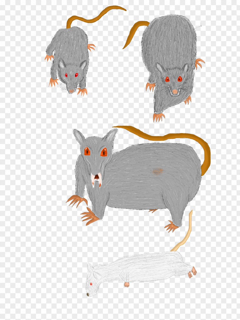 Rat & Mouse Rodent Cat Murids PNG