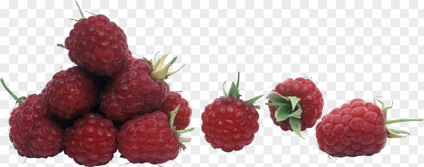 Rraspberry Image Strawberry Frutti Di Bosco Raspberry Loganberry Tayberry PNG