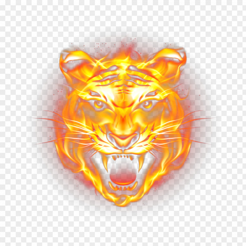 Tiger Clip Art Image Vector Graphics PNG