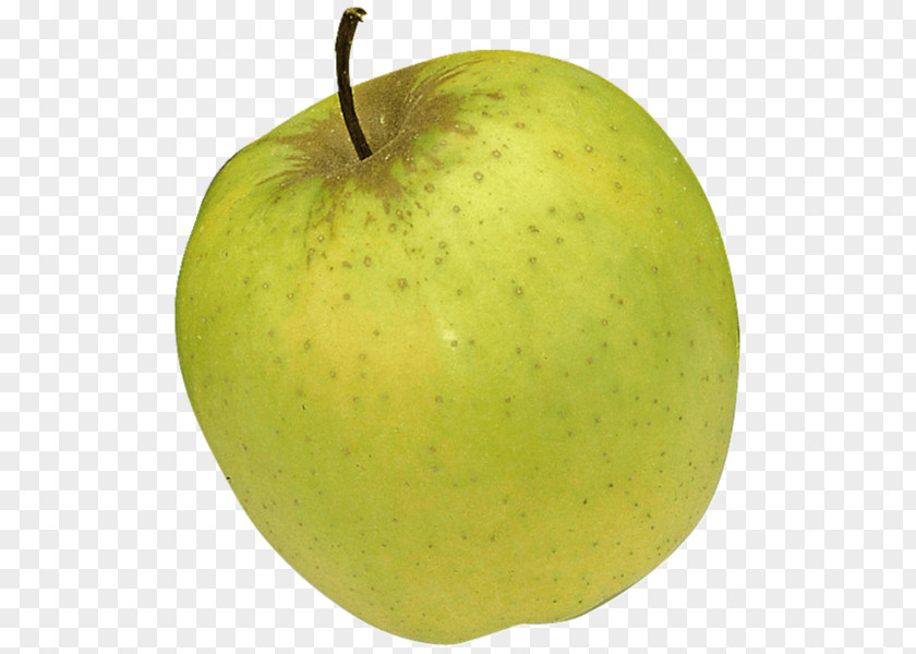 Apfel Grafik Granny Smith Cox's Orange Pippin Golden Delicious Apple Jonagold PNG