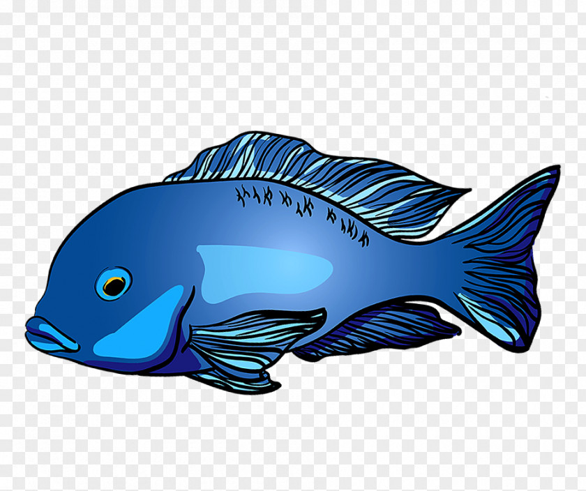 Fish Products Bonyfish Cartoon PNG