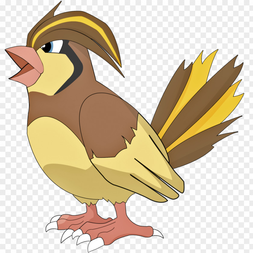 Pokemon Go Pokémon X And Y GO Pidgeotto PNG