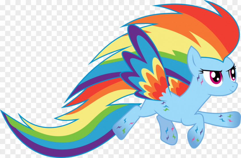 Rainbow Dash Twilight Sparkle Pinkie Pie Applejack Rarity PNG