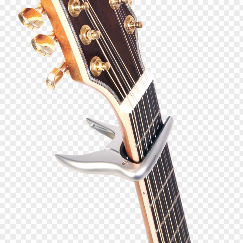 String Musical Instruments Acoustic Guitar Bass PNG