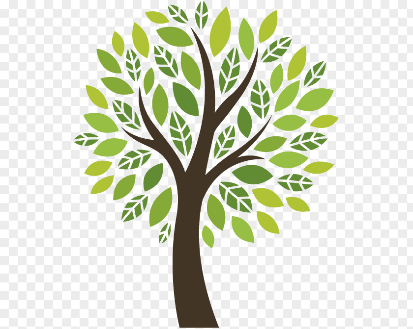 Flower Oak Tree Of Life PNG