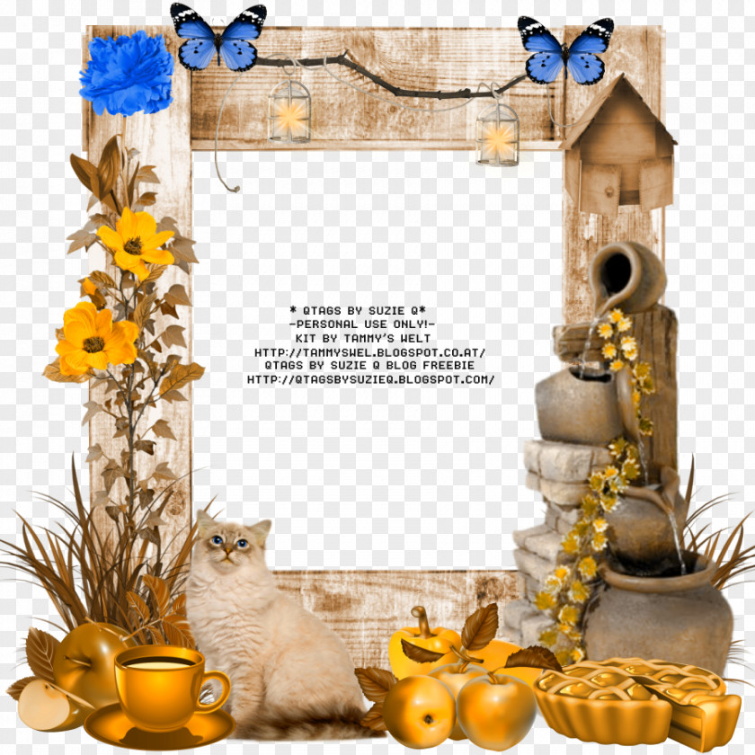 Flower Picture Frames Fountain PNG