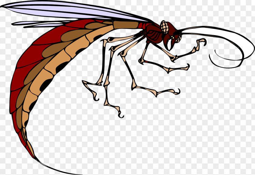 Flying Insects Insect Mosquito Clip Art PNG