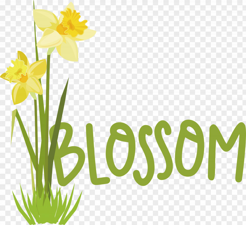 Plant Stem Daffodil Font Logo Yellow PNG