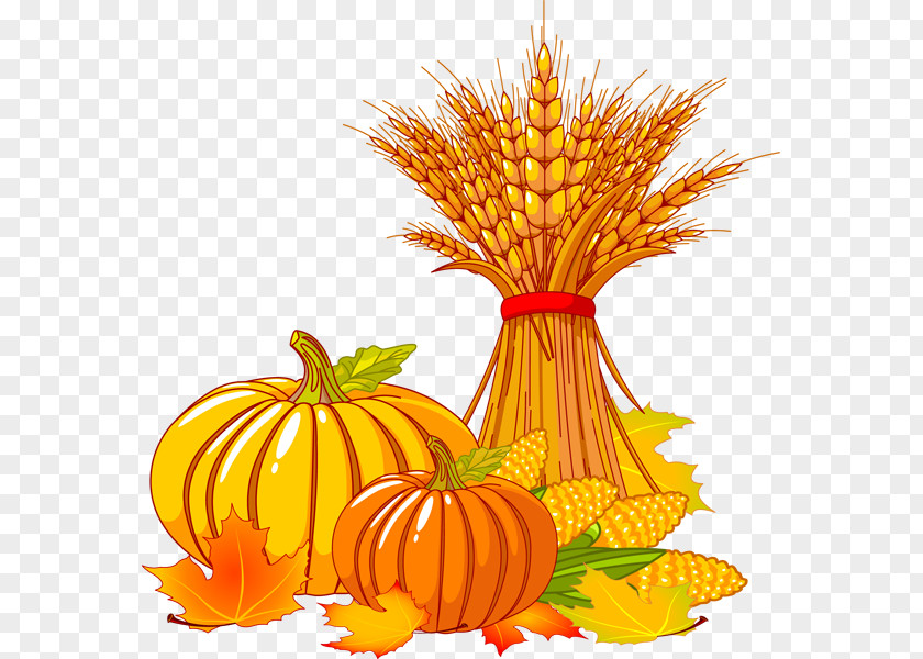 Thanksgiving Pumpkin Clipart Autumn Turkey Clip Art PNG