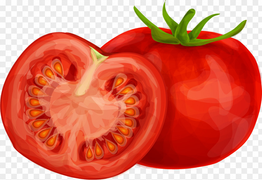 Tomato Cherry Vegetable Drawing PNG
