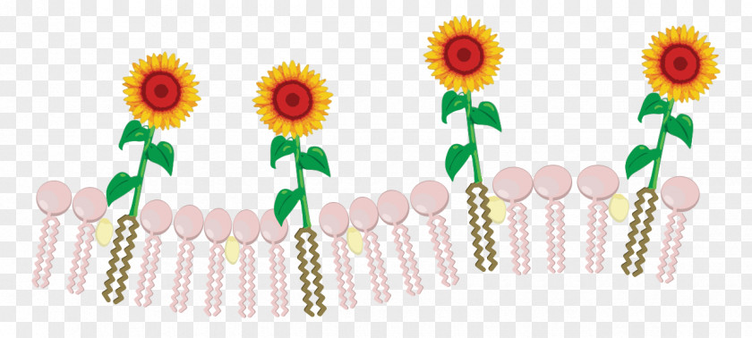 Design Common Sunflower Floral Cut Flowers Body Jewellery Clip Art PNG