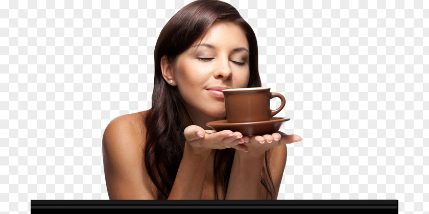 Drinkware Cup Tea Leaf PNG