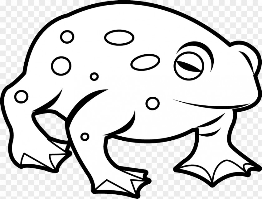 Free Cliparts Amphibians Frog And Toad Amphibian Clip Art PNG