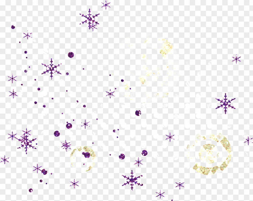 Kleiner Storchschnabel Snowflake Image Desktop Wallpaper PNG