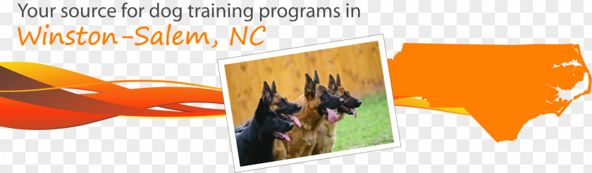 Police Dog Training Winston-Salem Veterinarian PNG