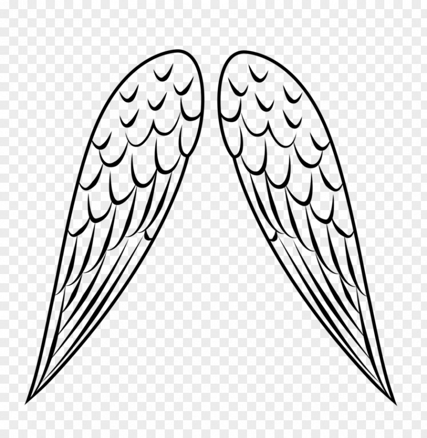 Angel Wing Bird Line Art Clip PNG