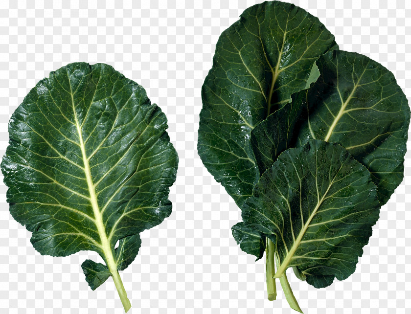 Cauliflower Cuisine Of The Southern United States Collard Greens Leaf Vegetable Cooking PNG