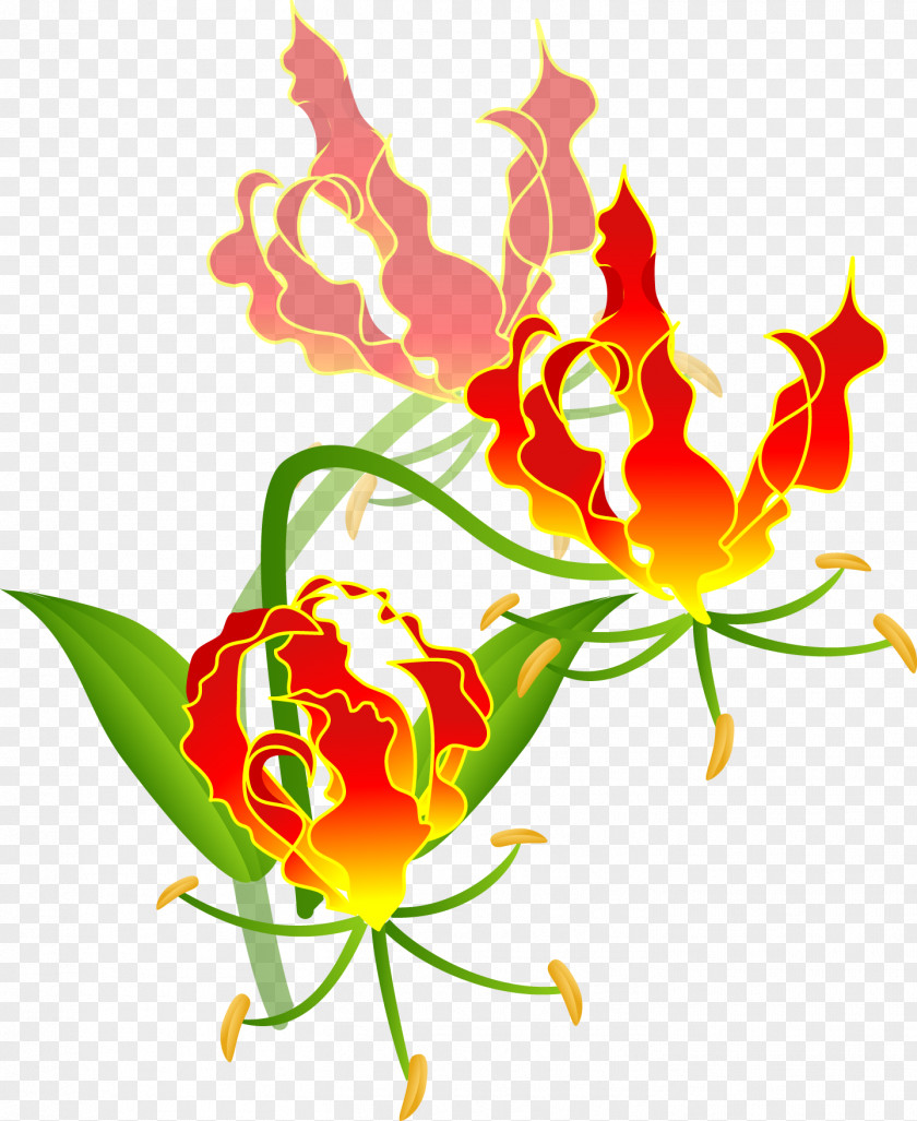 Flower Floral Design Fire Lilies Cut Flowers Tulip PNG