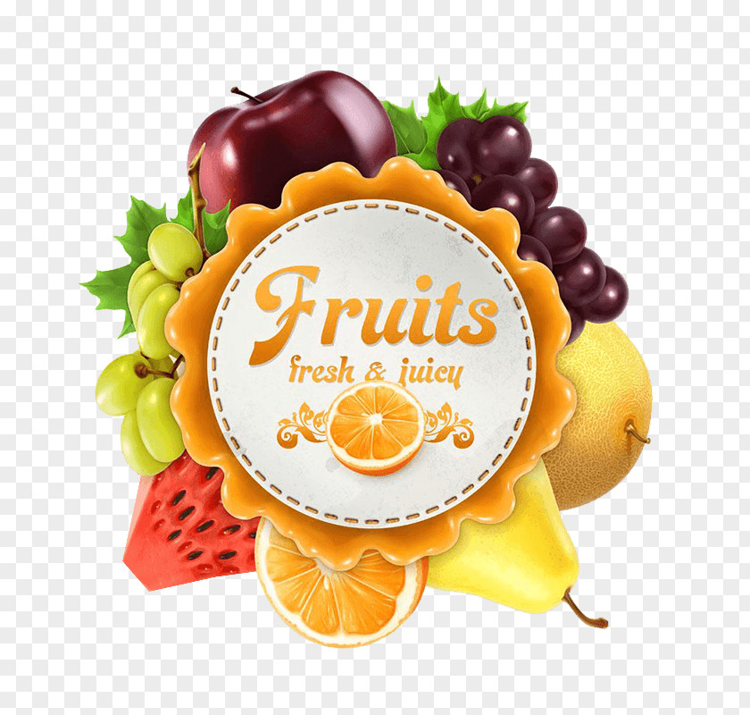 Fruit Fact Juice Dried Illustration Image PNG
