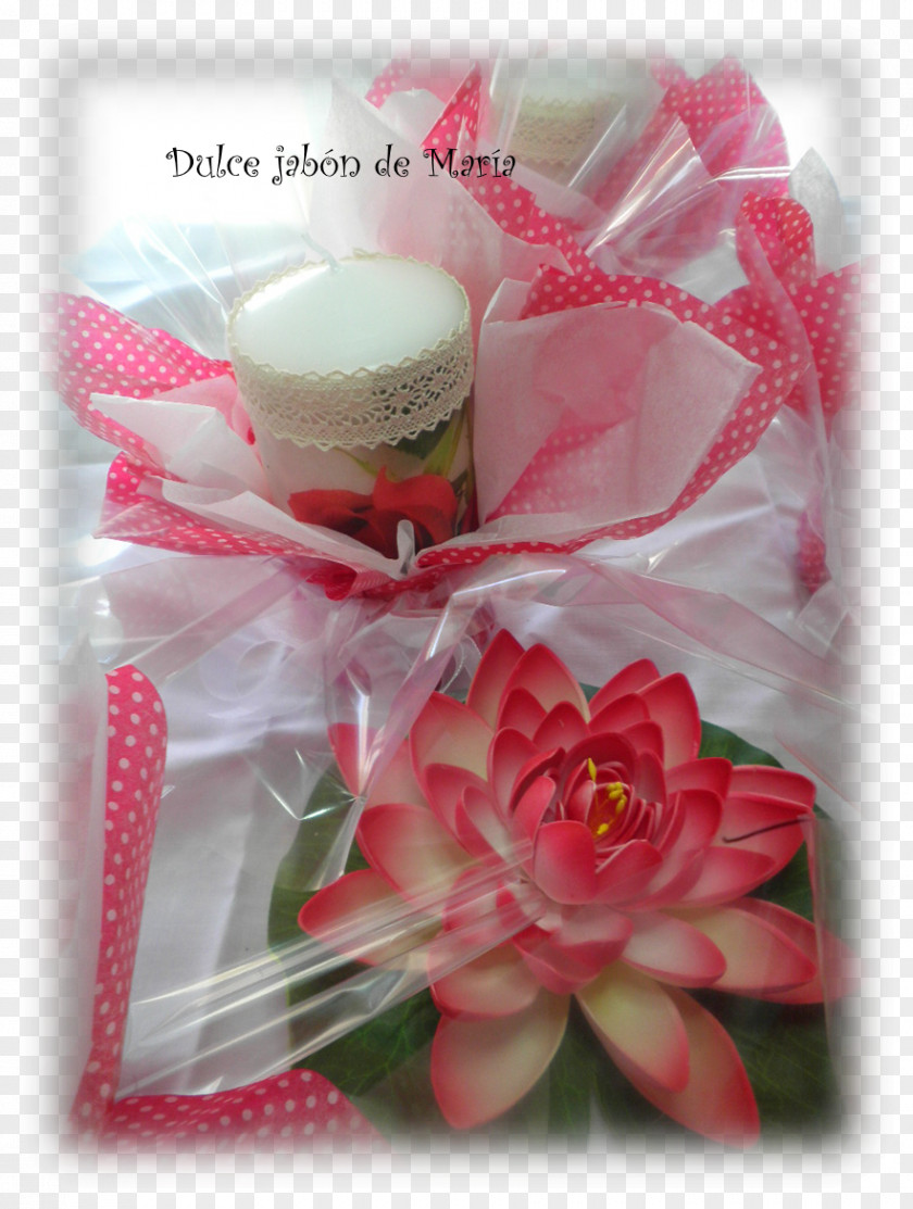 Gift Floristry Cut Flowers Pink M Petal PNG