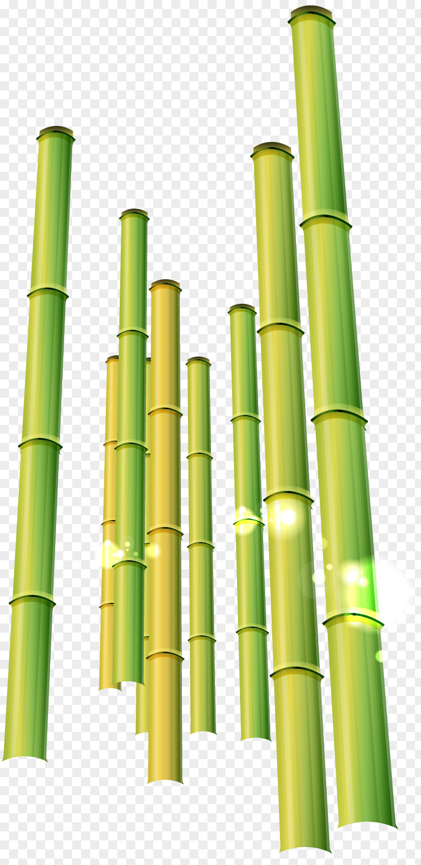 Green Bamboo Pattern Material Clip Art PNG