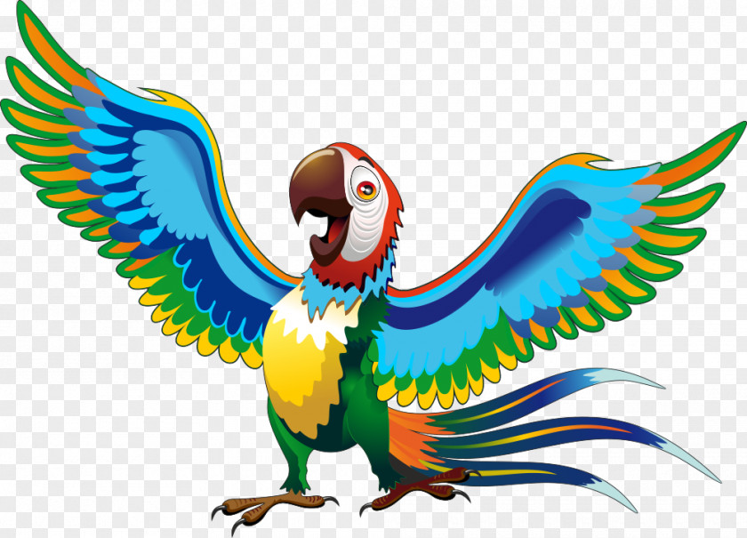 Vector Cartoon Parrot Drawing Macaw PNG