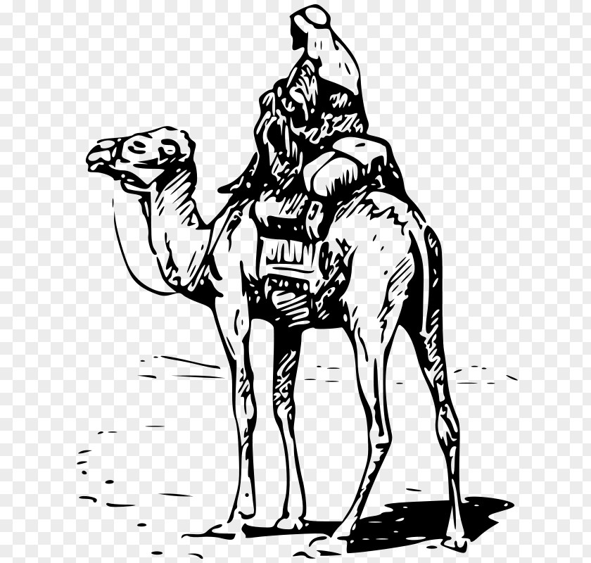 Camel Download Clip Art PNG