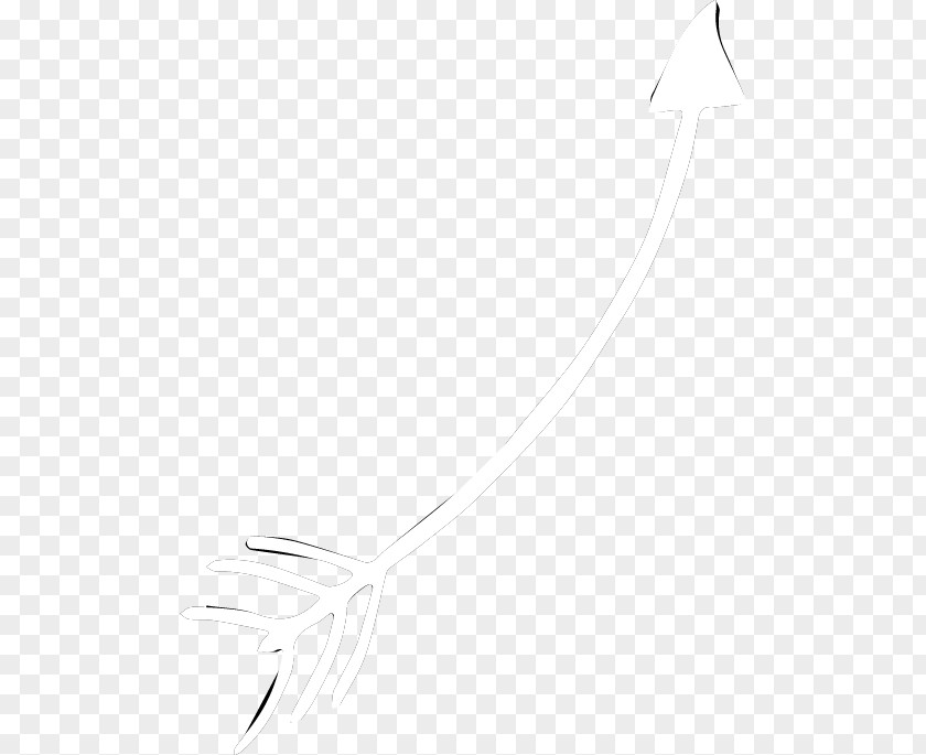 Feather White Line Art PNG