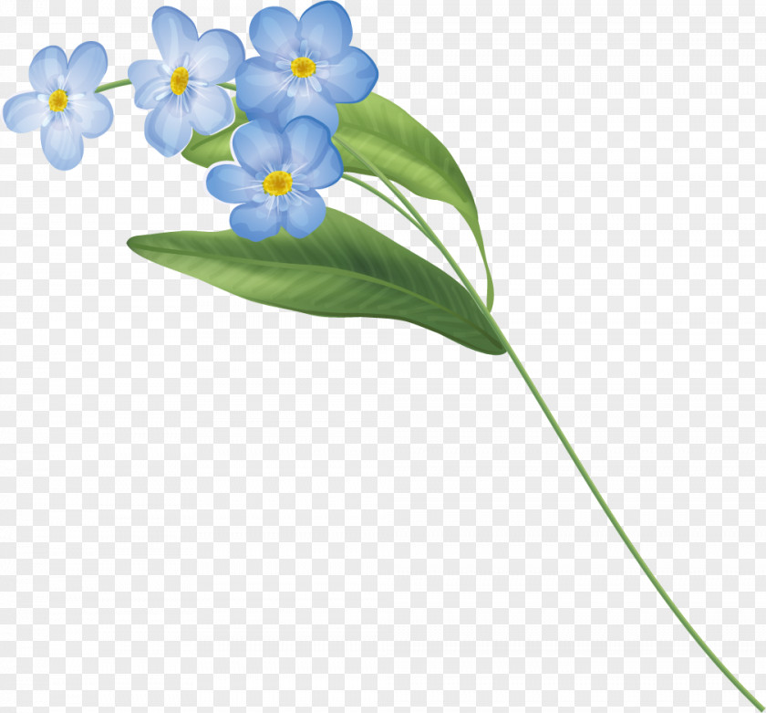 Flower Clip Art Image Petal PNG
