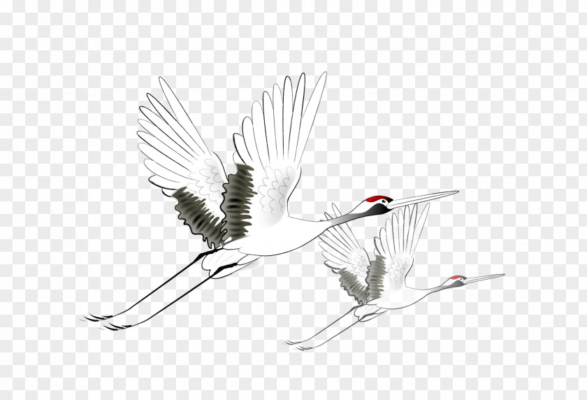 Flying Egret Crane Bird Flight PNG