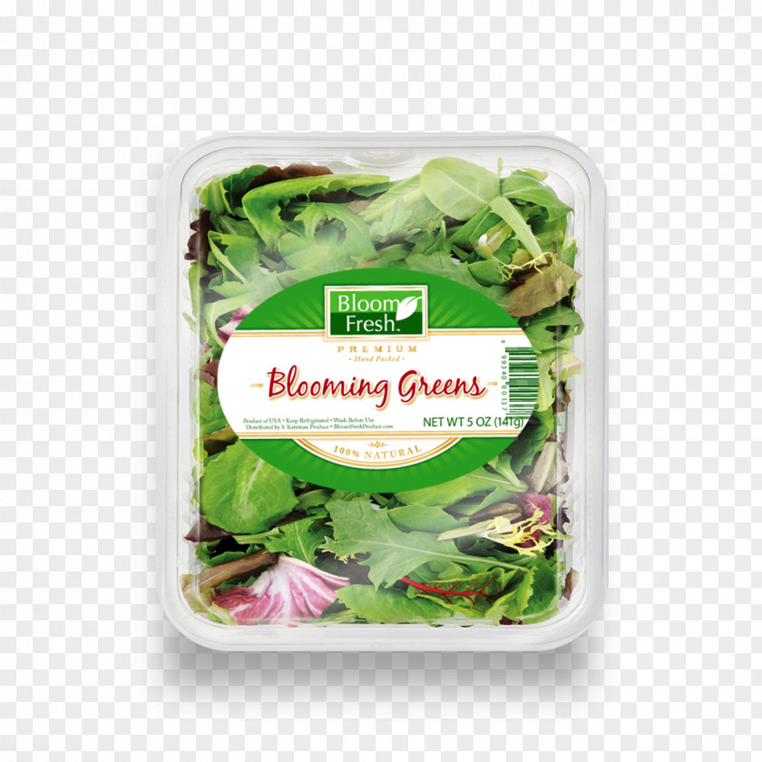Fresh Bloom Lettuce Leaf Vegetable Herb Crisp PNG