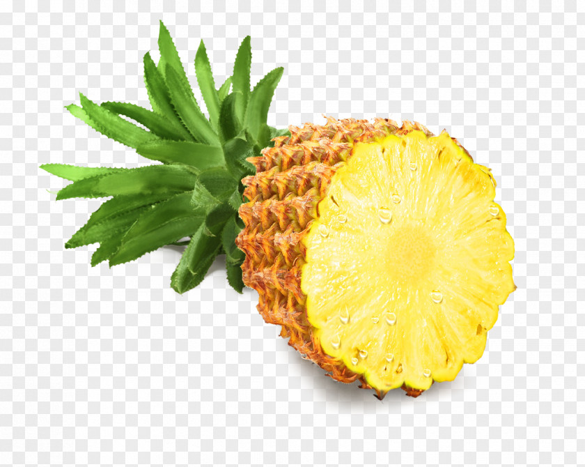 Pineapple Fruit Icon PNG