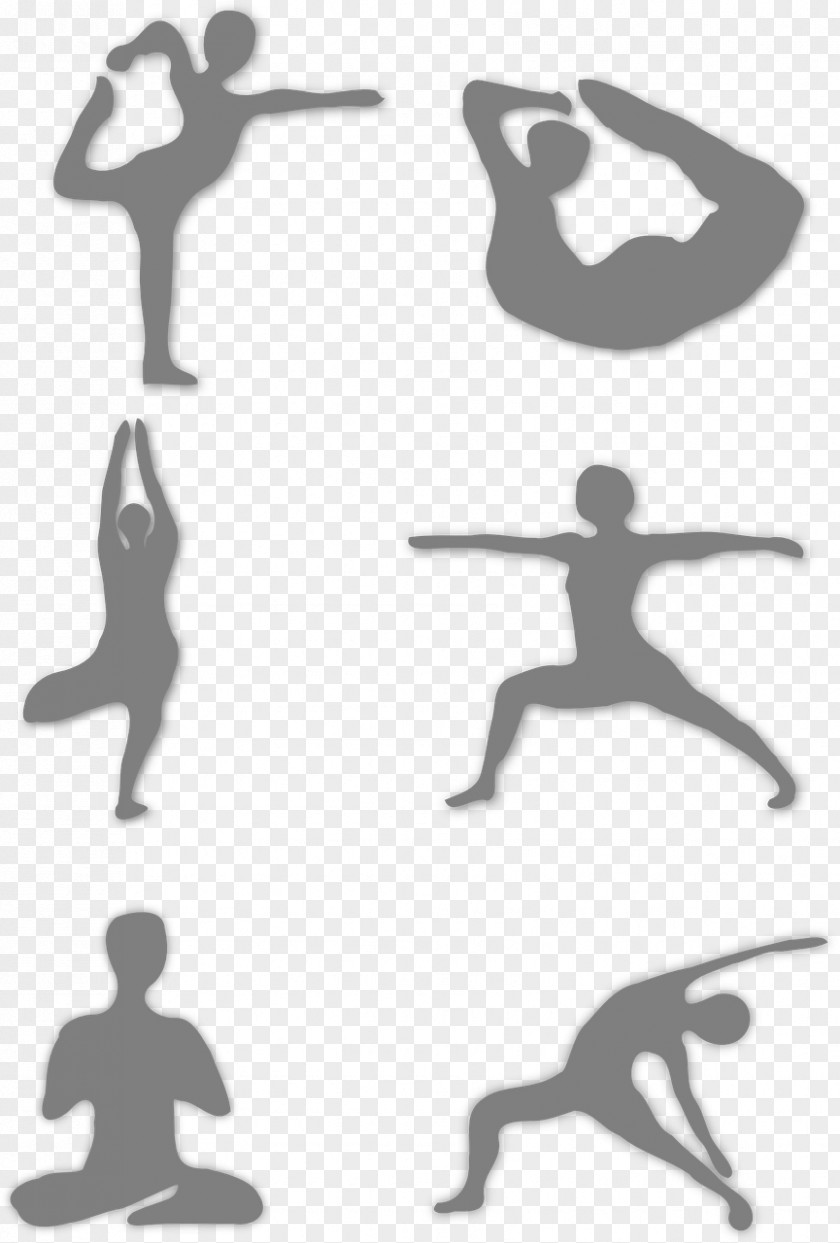 Yoga Health Physical Exercise Fitness Stretching PNG