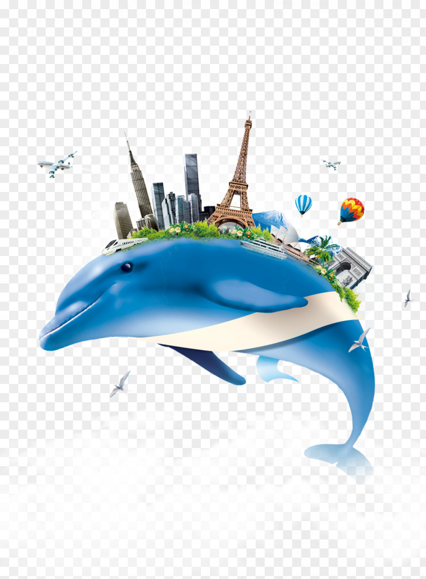 Building On The Creative Background Blue Dolphin PNG