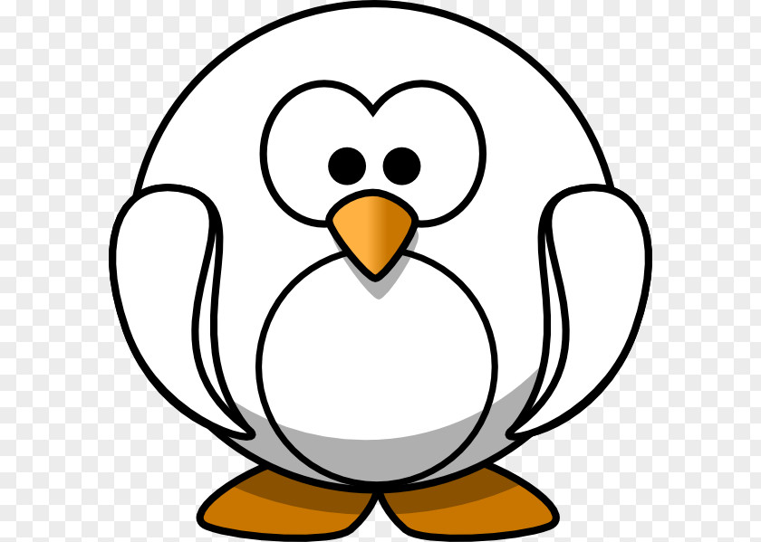 Penguin Drawing Clip Art Christmas Coloring Book PNG