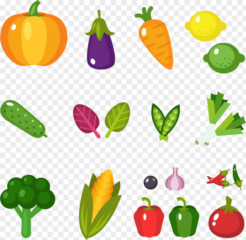 Healthy Fruits And Vegetables Fruit Vegetable Food Flat Design Celery PNG
