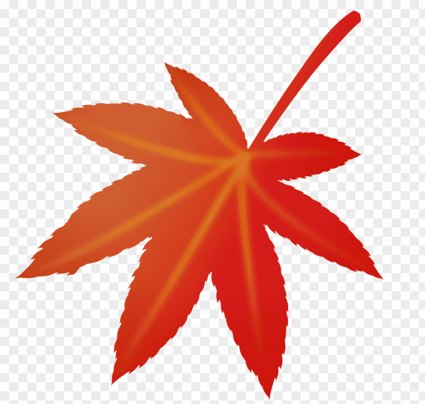 Leaf Maple Petal PNG