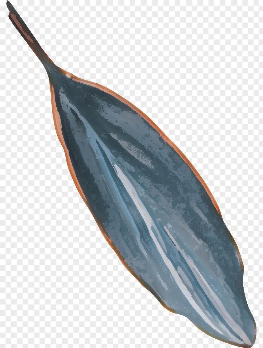 Leaf Plant Stem Boat Cartoon Drawing PNG